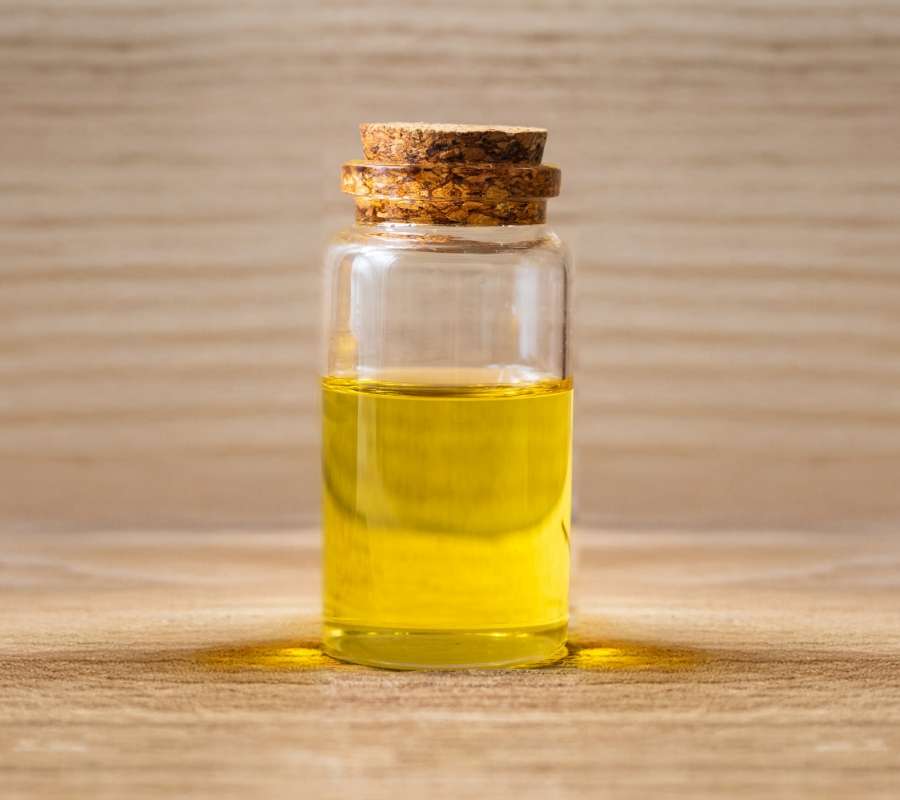 Sugandh Mantri (Gandhi Roots) Oil