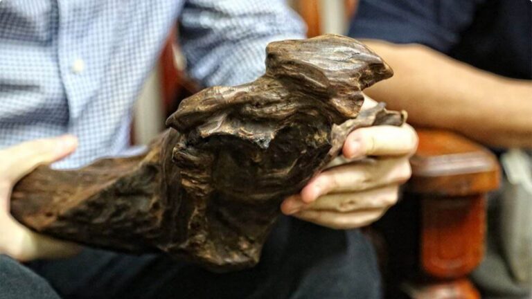 Understanding Oud Grades: Factors That Determine Value